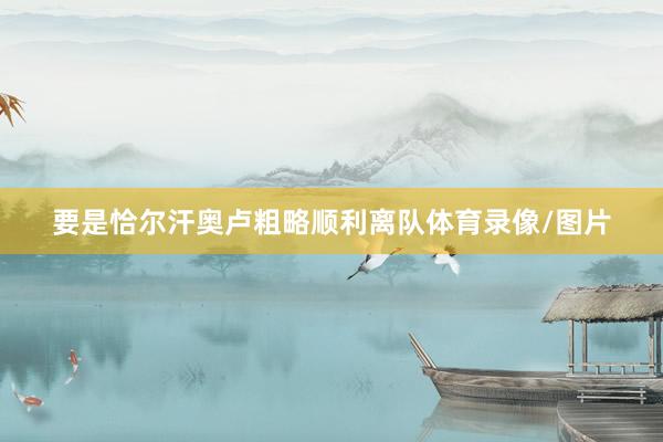 要是恰尔汗奥卢粗略顺利离队体育录像/图片