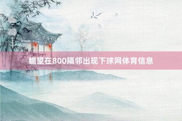 瞻望在800隔邻出现下球网体育信息